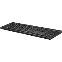 HP 125 Kabelgebundene Tastatur, Volle Größe, Kabelgebunden, USB, Membran Key Switch, Schwarz