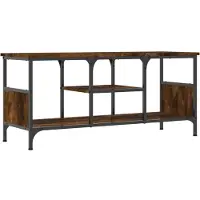 vidaXL TV-Schrank Räuchereiche 100x35x45 cm Holzwerkstoff & Eisen