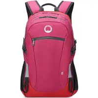 Delsey Nomade M Rucksack 49 cm Laptopfach