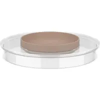 Mepal - Spritzschutzdeckel Chef it - 250 ml - Chalk