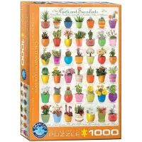 Eurographics Cacti & Succulents 1000pcs, 1000 Stück(e), Flora