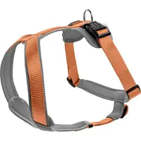 Hunter Geschirr Neopren, Farbe:kupfer/grau, Größen:L