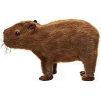 Beppe Naturgetreues Kapibara Plüschtier, 33 cm