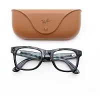 Ray-Ban META Wayfarer 53 mm