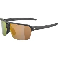 Alpina Sonnenbrille Alpina Swift HR Black Gold Matt/Gold Mirror
