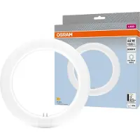 Osram - LED circline T9 C 22 EM 11W 840 G10q - 4099854042621
