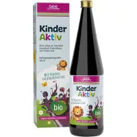 GSE Vertrieb GmbH GSE Kinder Aktiv Complex Lösung, 330 ml Lösung