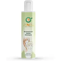 Sanoll Brennnessel Molke - Shampoo 200ml