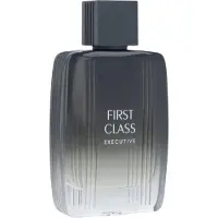 Etienne Aigner Etienne First Class Executive EDT 100 ml M