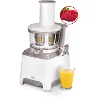 Trebs 99274 - Slow Juicer / Comfortjuicer mit einzigartigem Presssystem, Filter und Zubehör