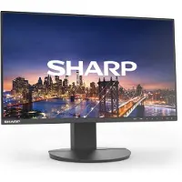 Sharp MultiSync EA242F, 61 cm (24"), 1920 x 1080 Pixel, Full HD, LCD, 5 ms, Schwarz
