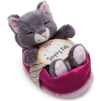 Nici Katze Schläft Im Korb Mit Teddybär 12 Cm Rosa Rosa One Size