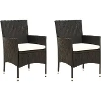 vidaXL "2026 Promotion" Gartenstühle mit Kissen 2 Stk. - Hohe Qualität - Poly Rattan Schwarz - Gartenstühle CC9569