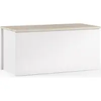 Dmora Koffer Ditalen, Geräumige Mehrzweck - Aufbewahrungsbox, Moderne Brust, 100% Italy, 90x45h45 cm, Weiß und Eiche