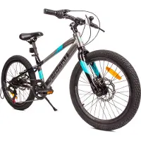 Sun baby 20-Zoll-Fahrrad für Jungen, leichtes Mountainbike mit Shimano 6-Gang-Schaltung, Farbe: Verdant Alder