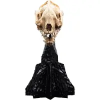 Weta Workshop Herr der Ringe Mini Statue Skull of a Warg 20 cm