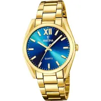 Festina Herren Uhr Casual Edelstahl Armbanduhr gold D2UF20640/8