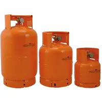 Briconess LPG-Gasflasche Lampa 5 kg 12 L vertikaler Auslass W20 x 1/14 links Außengew.