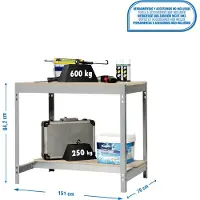 Simonwork (bancos De Trabajo) PROREGAL Werkbank BUFFALO | HxBxT 84x150x76cm | Traglast 600kg | Grau
