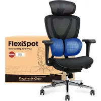 FlexiSpot Sentinel Ergonomischer Bürostuhl mit Dual-Wing Lendenstütze, 3D-Kopfstütze, 3D-Armlehnen, verstellbarer Sitztiefe & Rückenlehne (Schwarz)