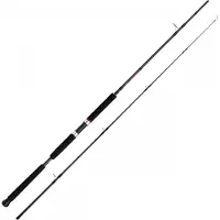 Shimano Fishing Vengeance Ax Pilk Jiggingrute Silber 2.40 m / 40-95 g Silber 2.40 m