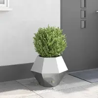 Prolenta Maison Exclusive - Pflanzkübel Silber 50 x 50 x 40 cm Verzinkter Stahl