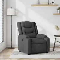 Prolenta Maison Exclusive - Relaxsessel Dunkelgrau Stoff