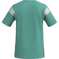 Erima Polyester-Trikot Celebrate 125