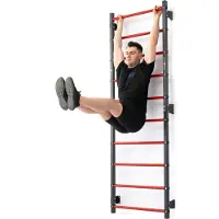 Marbo-sport Marbo Sport Sprossenwand zur Wandmontage 230 x 81 cm MH-U204