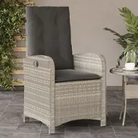 vidaXL Design Gartensessel mit Kissen Verstellbar Hellgrau Poly Rattan, Gartenstühle 2024 Neu