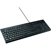 Kensington KB100S EQ Tastatur - German