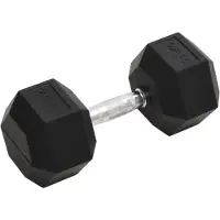 Syfax Kurzhantel 27,5 kg Gusseisen
