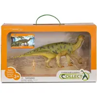 Collecta Geschenkset - Vorgeschichte