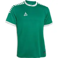Select Monaco Trikot grün/weiß M