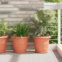 Prolenta Maison Exclusive - Runde Blumenplatte 6 stk. Ziegelrot Ø 23,5 x 2,5 cm Kunststoff