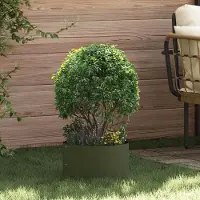 Prolenta Maison Exclusive - Pflanzenring Olive Grün 30 x 30 x 20 cm Kaltgewalzter Stahl