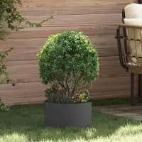 Prolenta Maison Exclusive - Pflanzenring Schwarz 30 x 30 x 20 cm Kaltgewalzter Stahl
