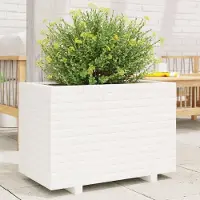 vidaXL Möbel Pflanzkübel Weiß 70x40x49,5 cm Massivholz Kiefer - Beete 3282550