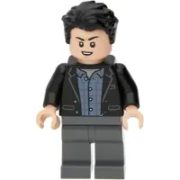 LEGO : Bruce Banner