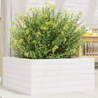 vidaXL "Rabatt" Pflanzkübel modernem Design - Blumentopf/Pflanzkasten - Weiß 50x50x23 cm Massivholz Kiefer - Beete CC23400