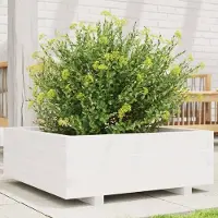 vidaXL "Rabatt" Pflanzkübel modernem Design - Blumentopf/Pflanzkasten - Weiß 70x70x26,5 cm Massivholz Kiefer - Beete CC23418