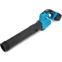 StarTech.com Akku-Gebläse - Kabellos Bürstenlos 18V - 30000 U/min Hochgeschwindigkeit - Leicht & Tragbar - 2 Akkus Inklusive