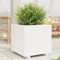 vidaXL "2026 Promotion" Hochbeet - Pflanzkübel - Weiß 50x50x49,5 cm - Massivholz Kiefer - Beete CC14137