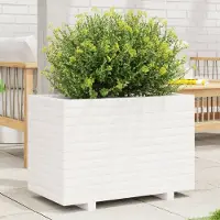 vidaXL "2026 Promotion" Hochbeet - Pflanzkübel - Weiß 70x40x49,5 cm - Massivholz Kiefer - Beete CC30481
