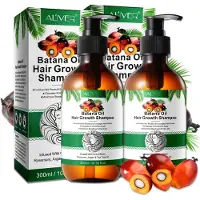 P-Beauty Shampoo Batana mit Rosmarin Haarwachstum Kopfhaut Pflege anti Haarausfall Vegan, 2x 300ml