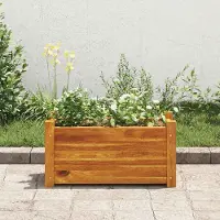 vidaXL "2026 Promotion" Garten-Hochbeet - Pflanzkasten - Akazienholz 50x25x25 cm - Beete CC26188