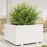 Prolenta Maison Exclusive - Pflanzkübel Weiß 80x80x49,5 cm Massivholz Kiefer