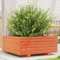 vidaXL "Rabatt" Pflanzkübel modernem Design - Blumentopf/Pflanzkasten - Wachsbraun 60x60x26,5 cm Massivholz Kiefer - Beete CC23417