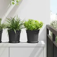 Prolenta Maison Exclusive - Runder Blumentopf 24 pcs Schwarz Ø 19 x 16 cm Kunststoff