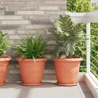 Prolenta Maison Exclusive - Runde Blumenplatte 6 pcs Ziegelrot Ø 27 x 2,5 cm Kunststoff